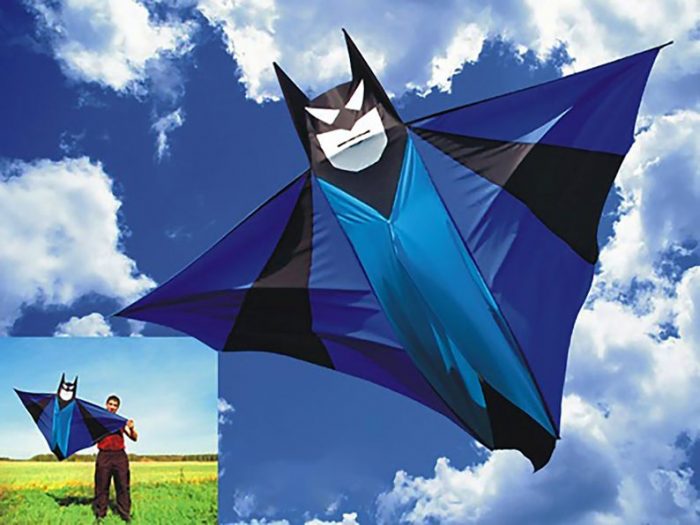 kites for adults near me